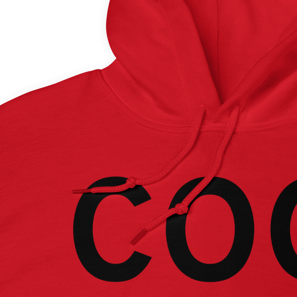 Cloquet (KCOQ) Airport Hoodie Sweatshirt 