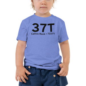 Calico Rock (K37T) Airport Toddler T-Shirt