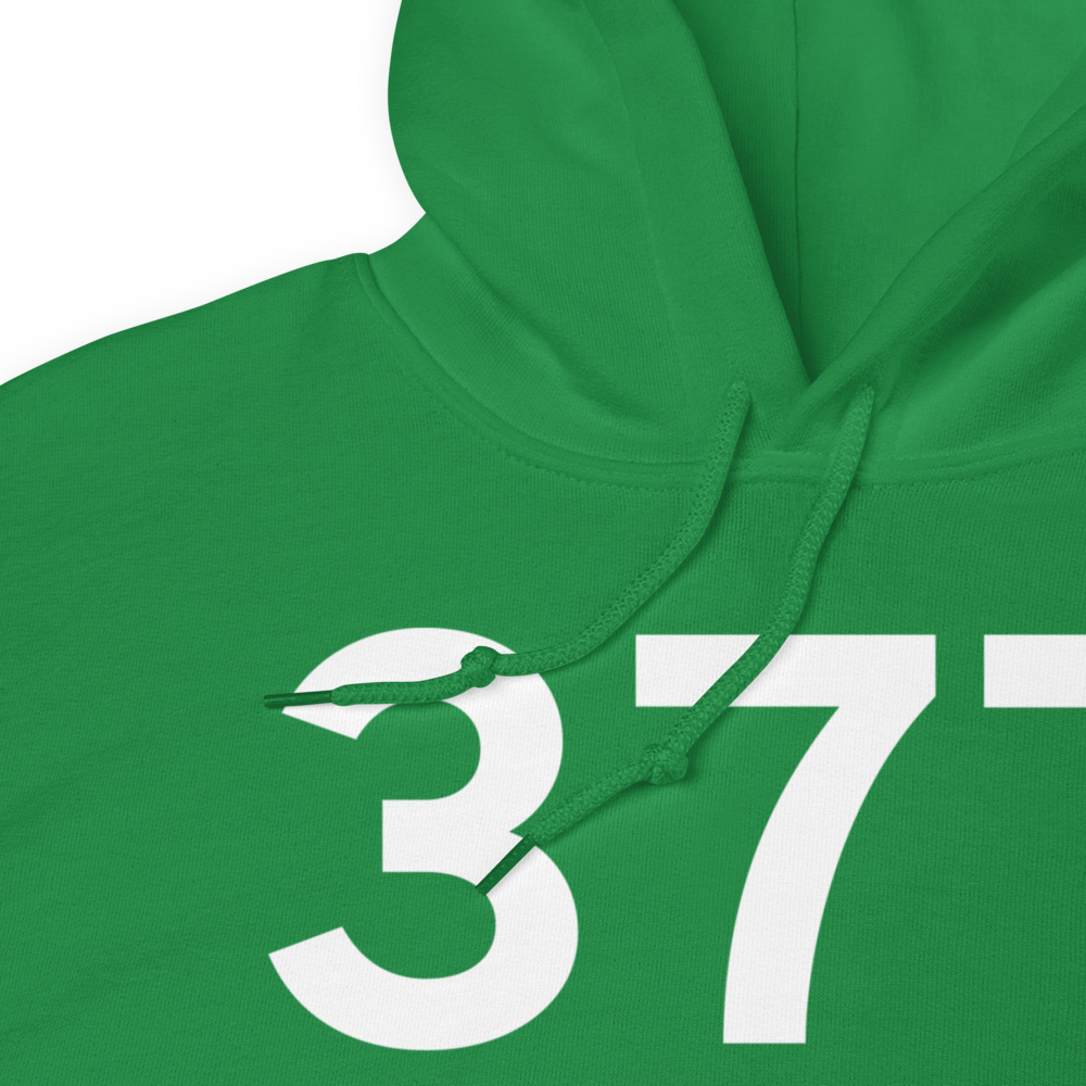 Calico Rock (K37T) Airport Hoodie Sweatshirt 