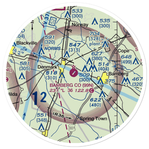 Bamberg County Airport (99N) VFR Sectional Sticker (20 mile)