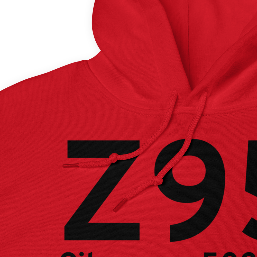 Cibecue (Z95) Airport Hoodie Sweatshirt 