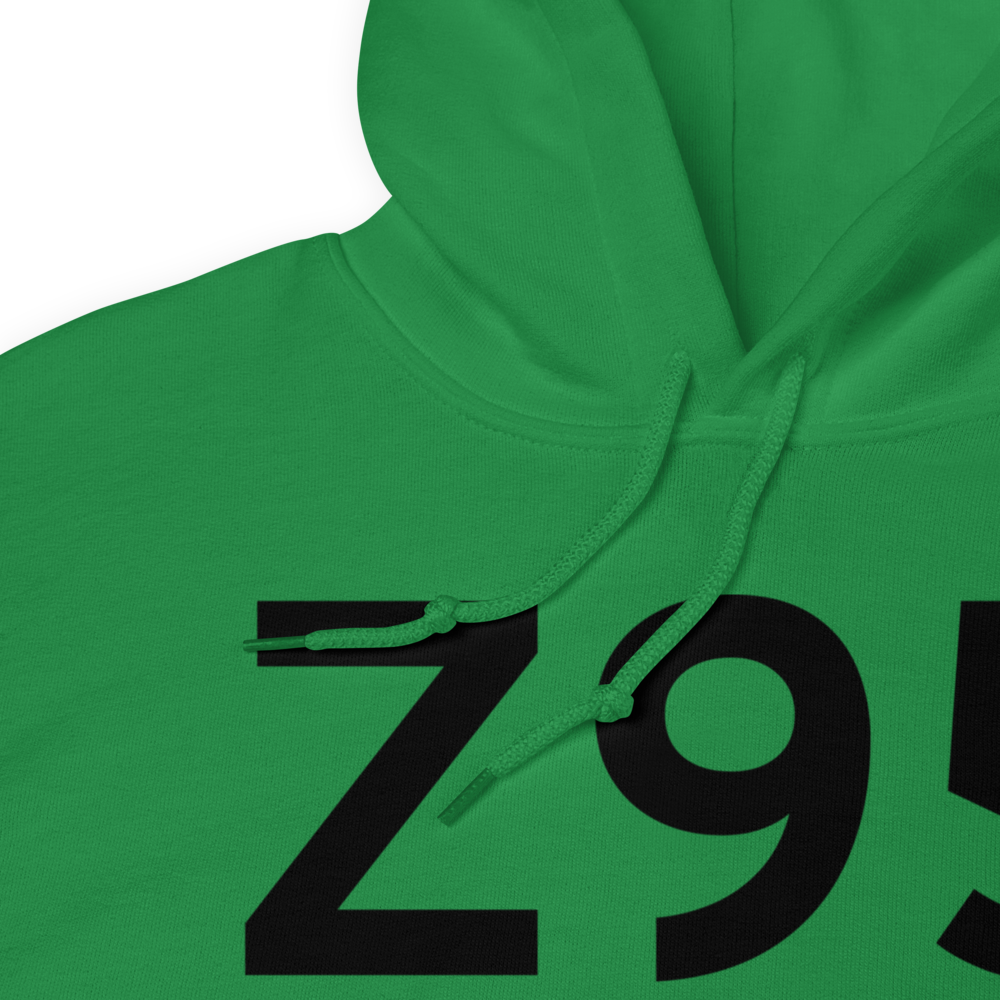 Cibecue (Z95) Airport Hoodie Sweatshirt 