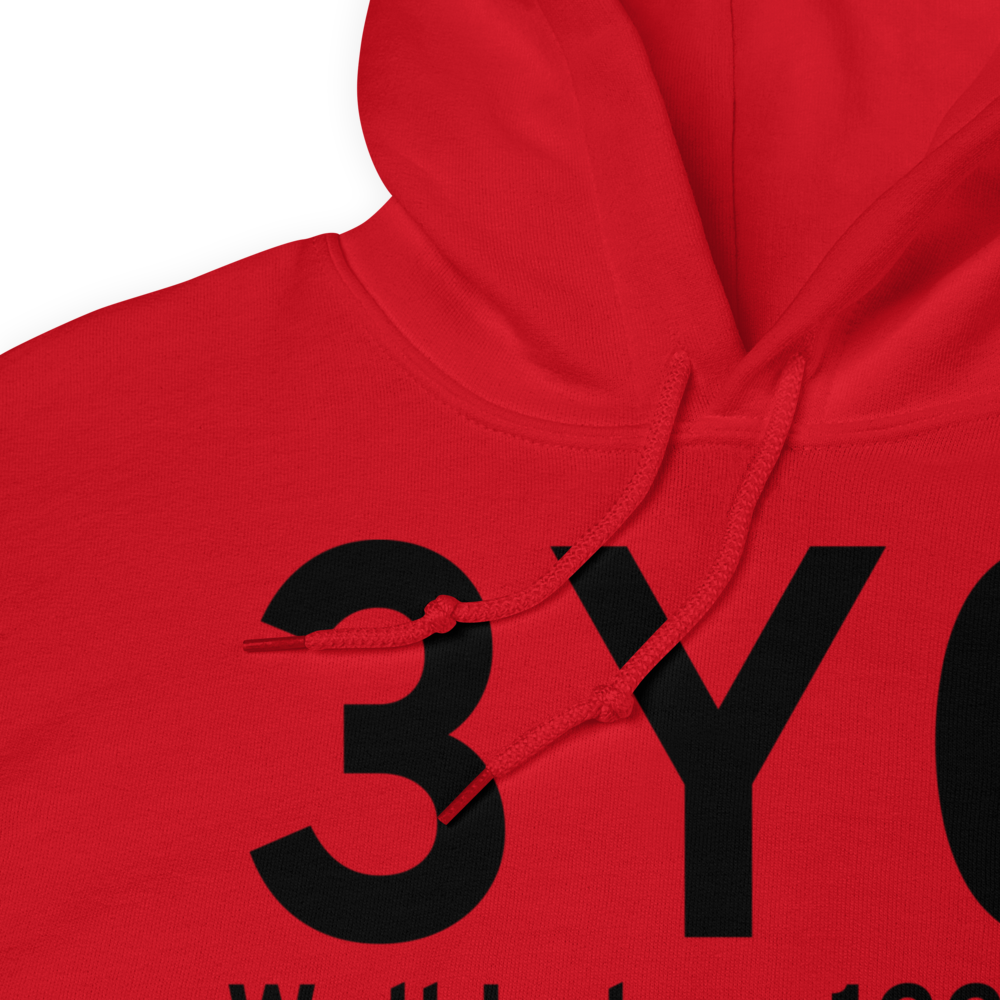 Wall Lake (3Y0) Airport Hoodie Sweatshirt 