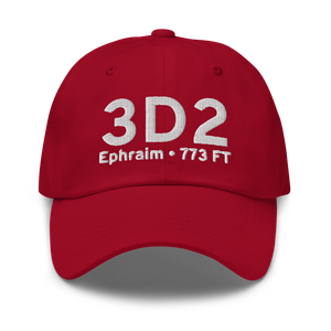 Ephraim (3D2) Airport Hat