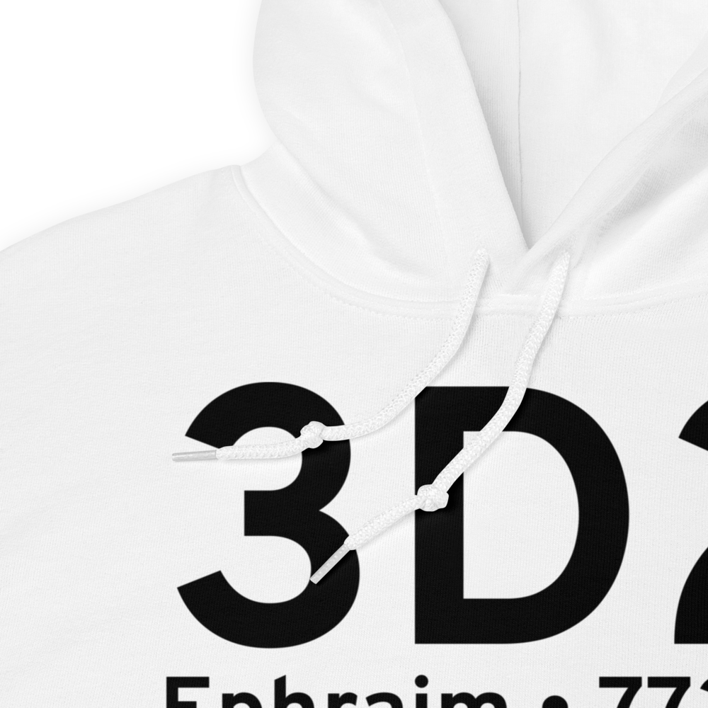 Ephraim (3D2) Airport Hoodie Sweatshirt 