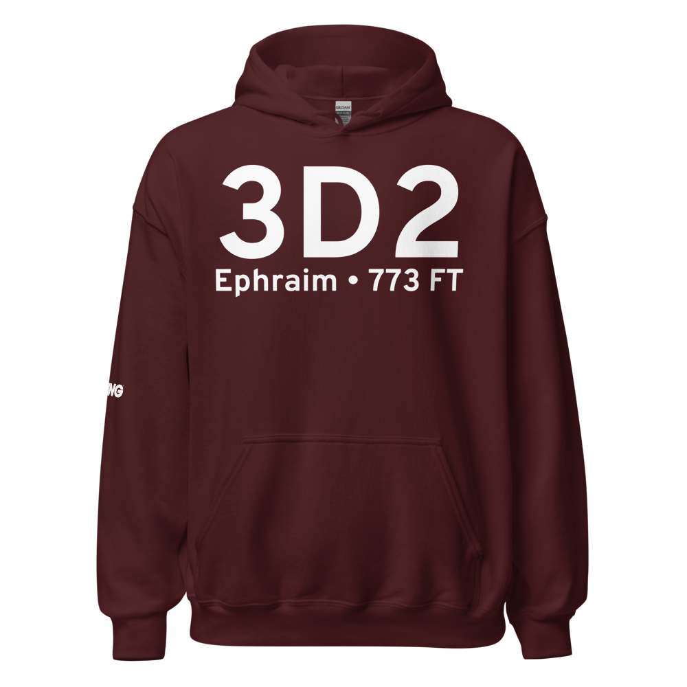 Ephraim (3D2) Airport Hoodie Sweatshirt 