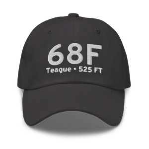 Teague (K68F) Airport Hat