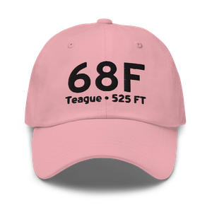 Teague (K68F) Airport Hat