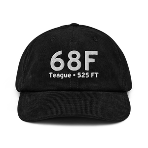 Teague (K68F) Airport Hat