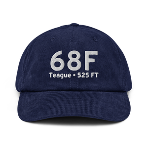 Teague (K68F) Airport Hat