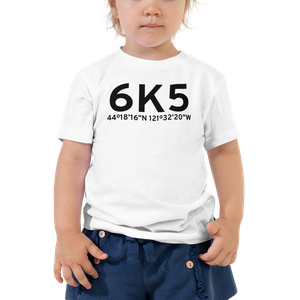 Sisters (K6K5) Airport Toddler T-Shirt