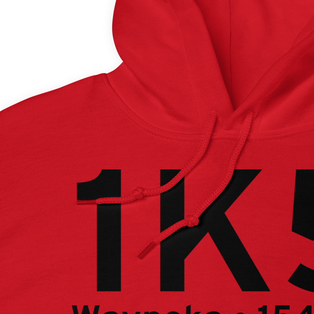 Waynoka (1K5) Airport Hoodie Sweatshirt 