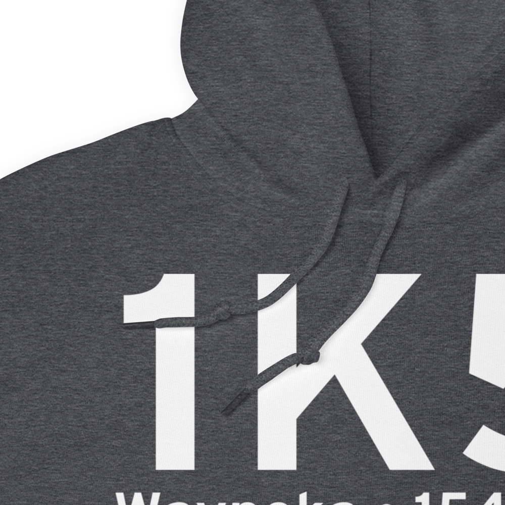 Waynoka (1K5) Airport Hoodie Sweatshirt 