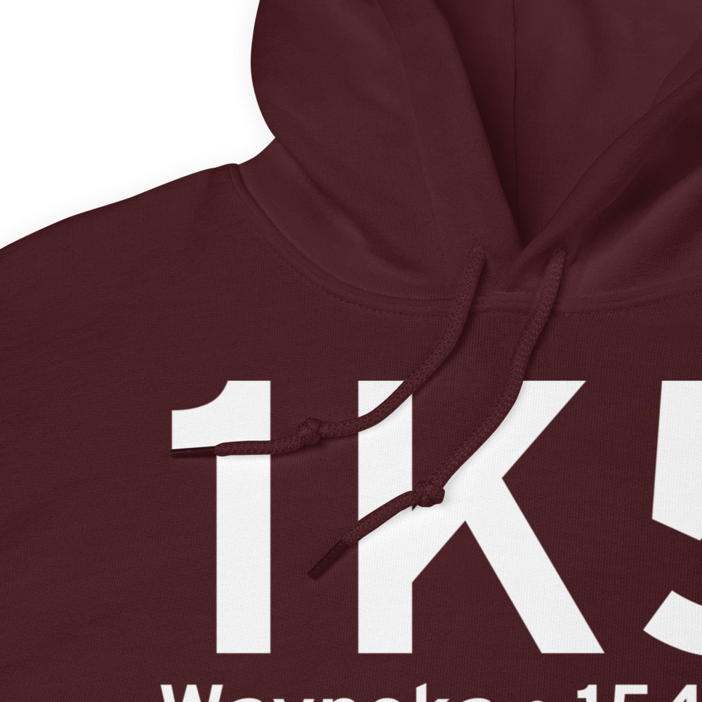 Waynoka (1K5) Airport Hoodie Sweatshirt 
