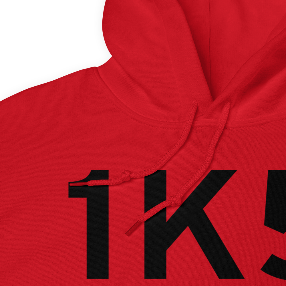 Waynoka (1K5) Airport Hoodie Sweatshirt 