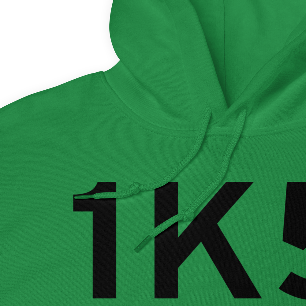 Waynoka (1K5) Airport Hoodie Sweatshirt 