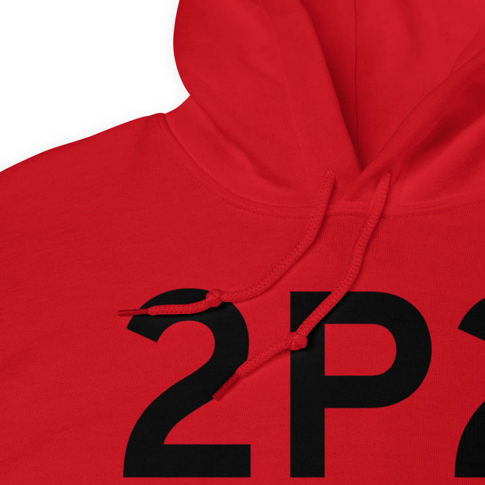 Washington Island (2P2) Airport Hoodie Sweatshirt 