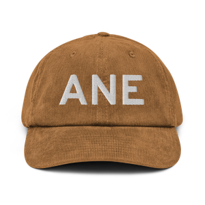 Minneapolis (KANE) Airport Hat