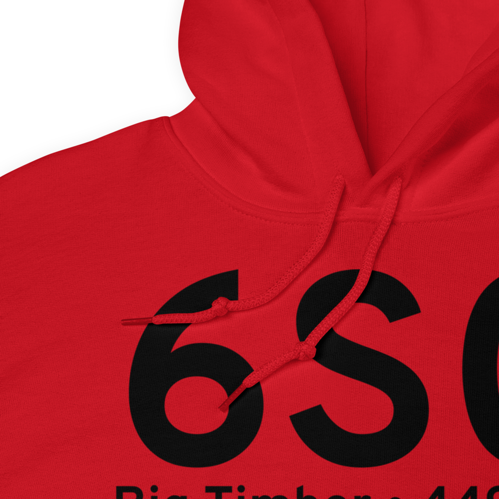 Big Timber (K6S0) Airport Hoodie Sweatshirt 
