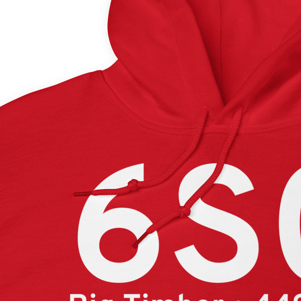Big Timber (K6S0) Airport Hoodie Sweatshirt 
