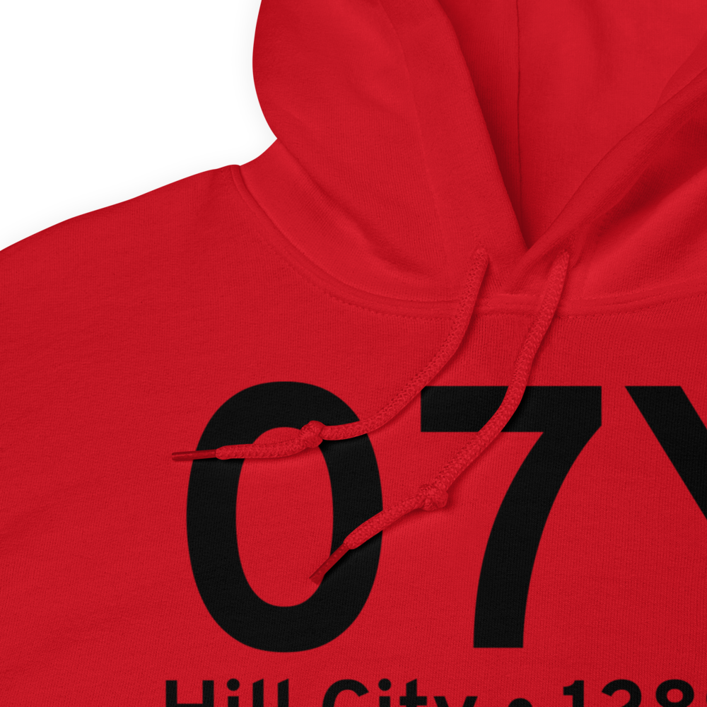 Hill City (07Y) Airport Hoodie Sweatshirt 