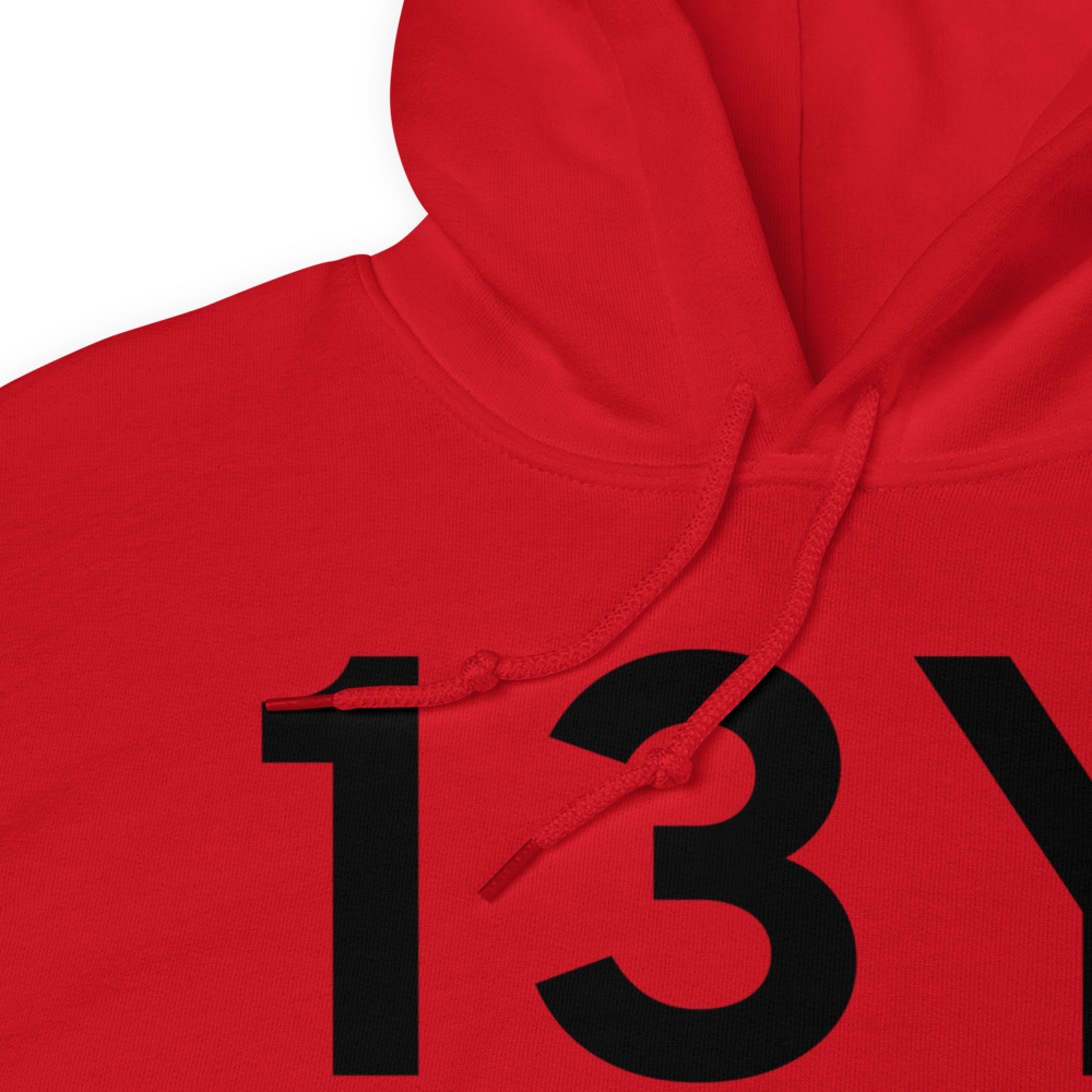 Littlefork (13Y) Airport Hoodie Sweatshirt 