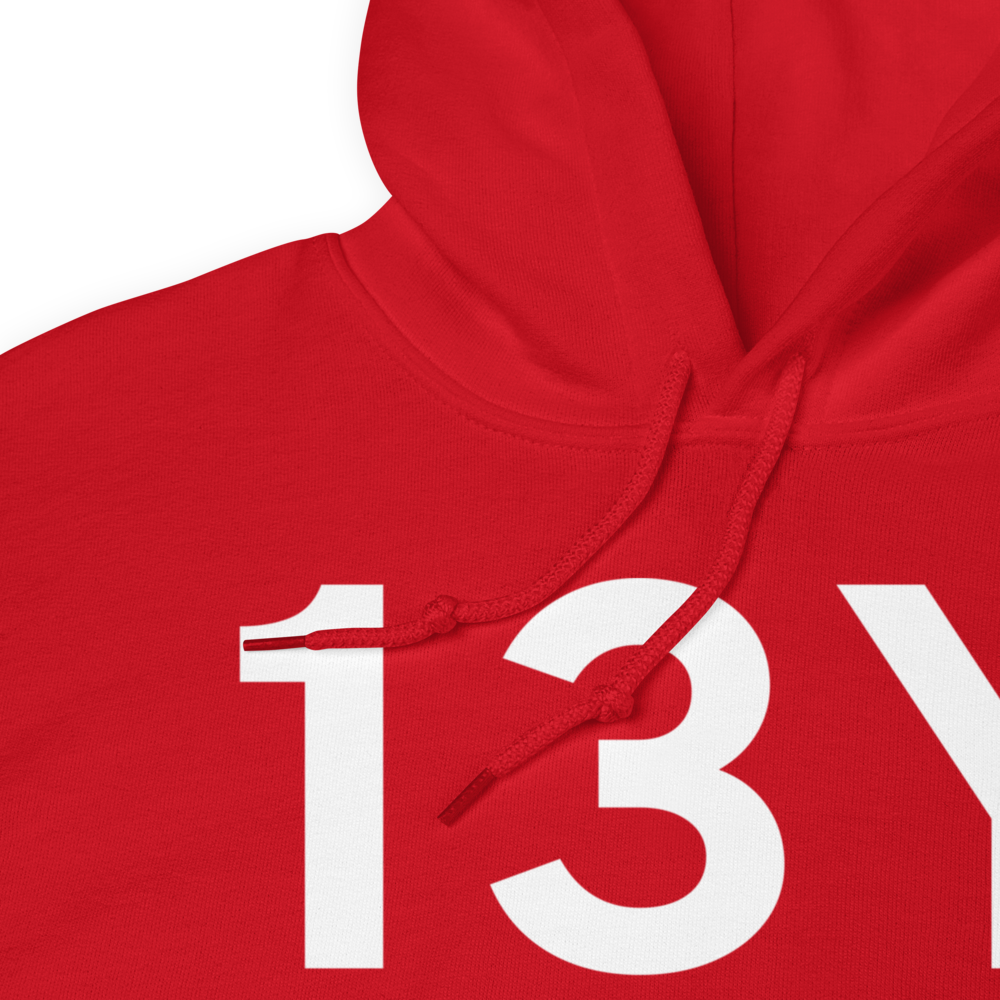 Littlefork (13Y) Airport Hoodie Sweatshirt 