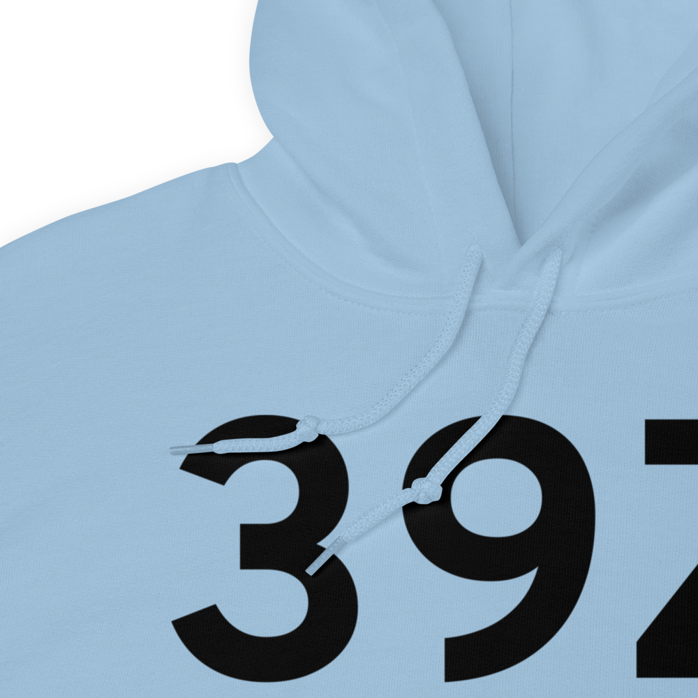 Fruitport (39Z) Airport Hoodie Sweatshirt 