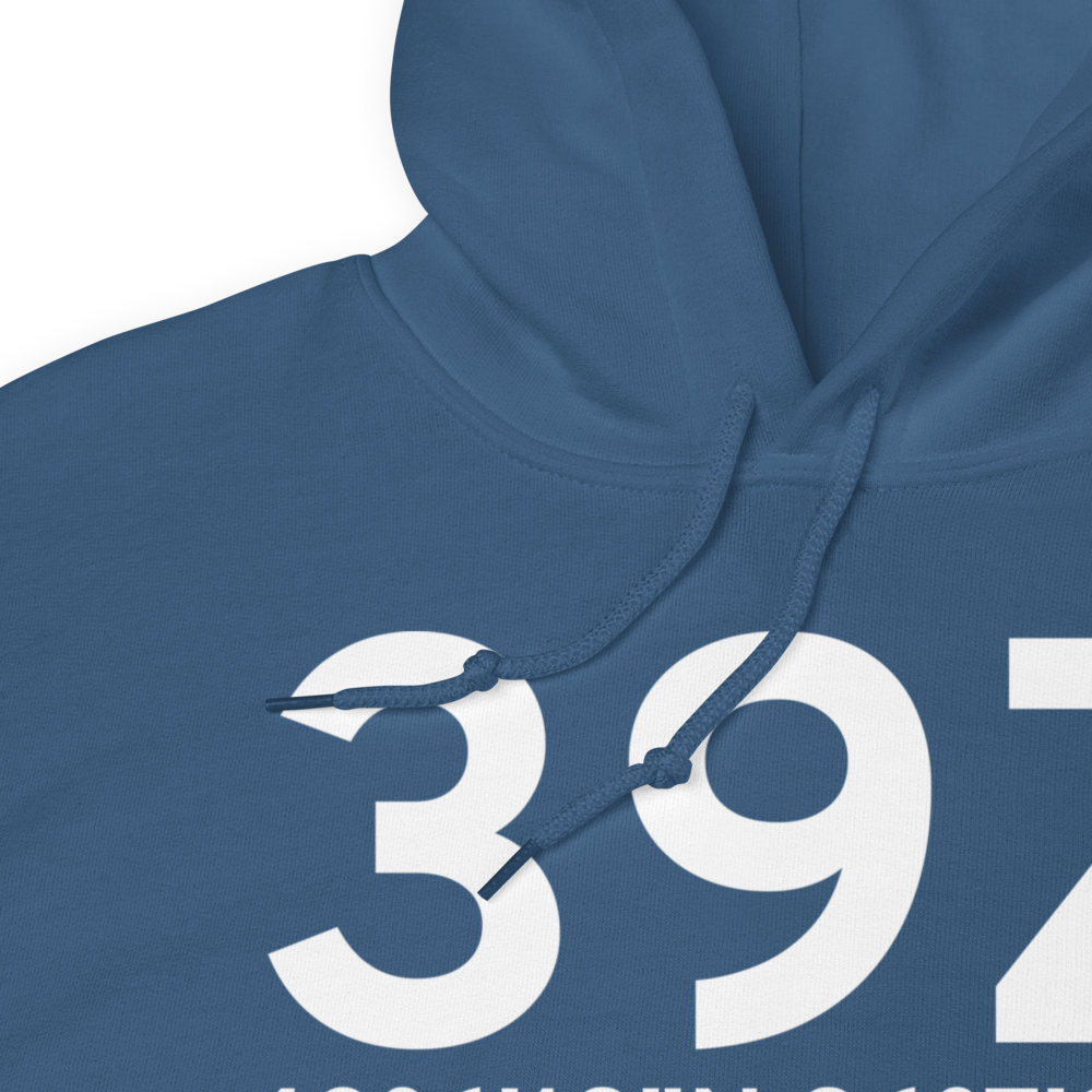 Fruitport (39Z) Airport Hoodie Sweatshirt 