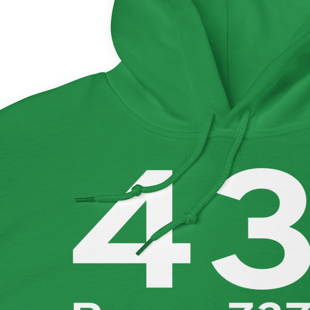 Peru (43I) Airport Hoodie Sweatshirt 