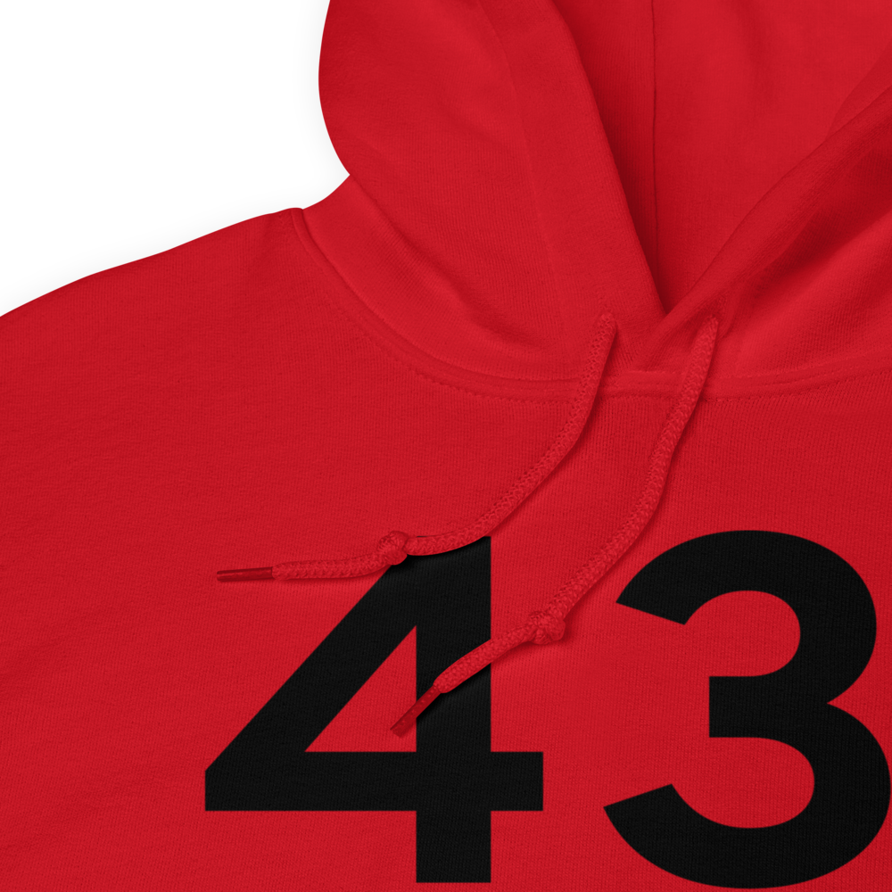 Peru (43I) Airport Hoodie Sweatshirt 