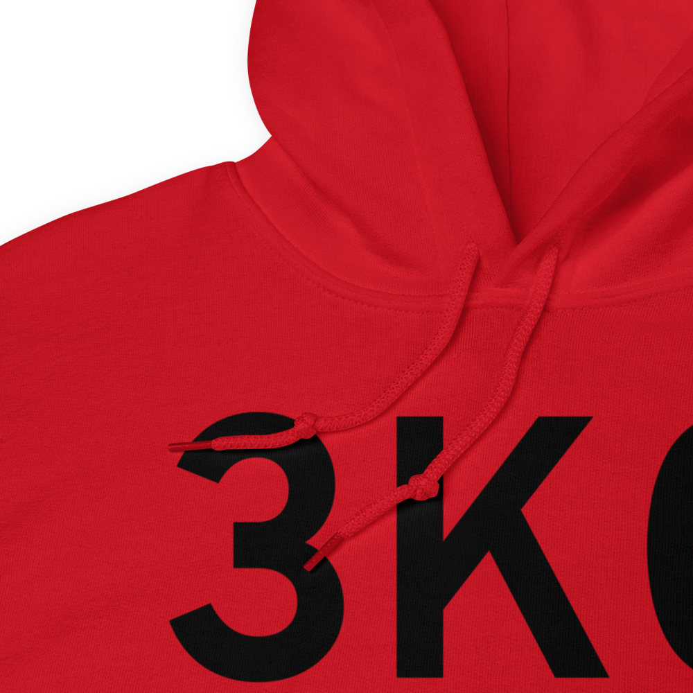 Skilak Guard Station (3K0) Airport Hoodie Sweatshirt 