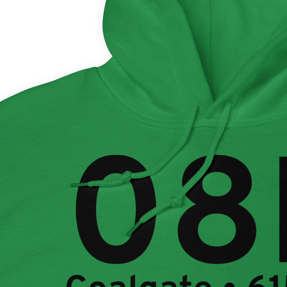 Coalgate (08F) Airport Hoodie Sweatshirt 