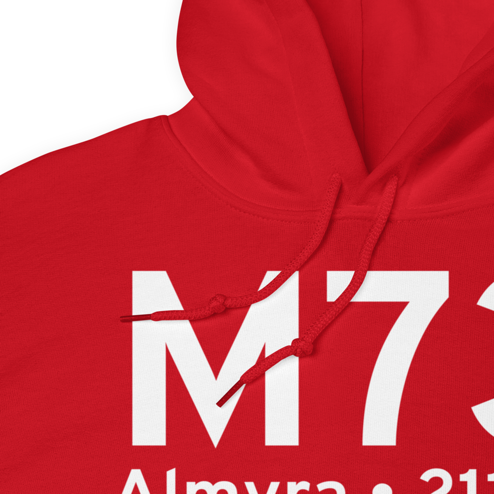Almyra (KM73) Airport Hoodie Sweatshirt 