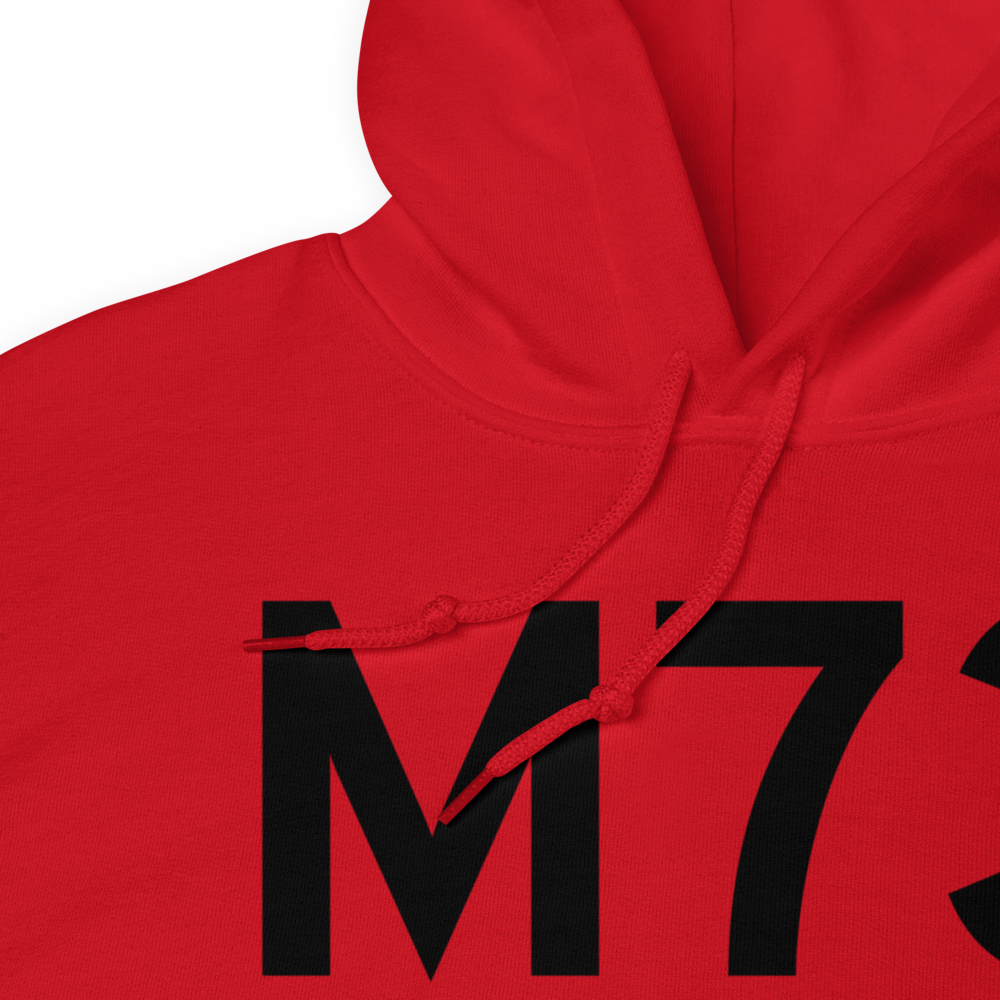 Almyra (KM73) Airport Hoodie Sweatshirt 