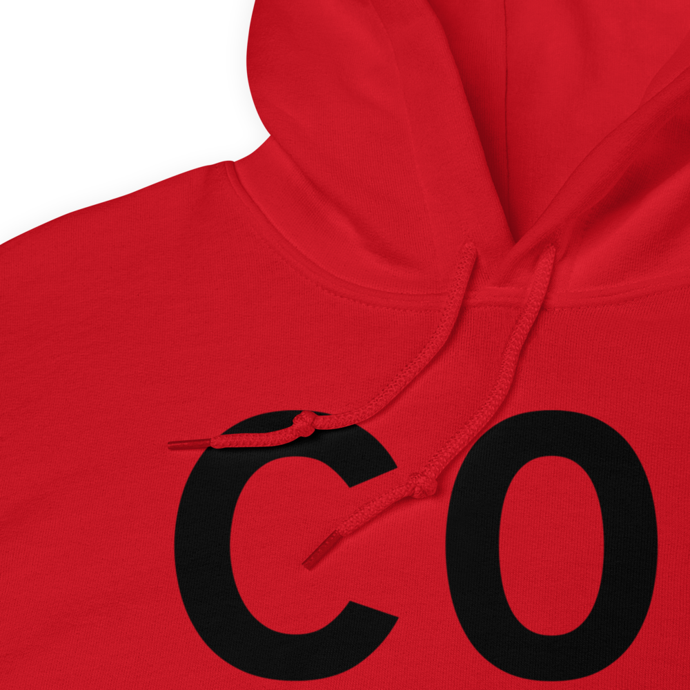 Williamstown (C01) Airport Hoodie Sweatshirt 