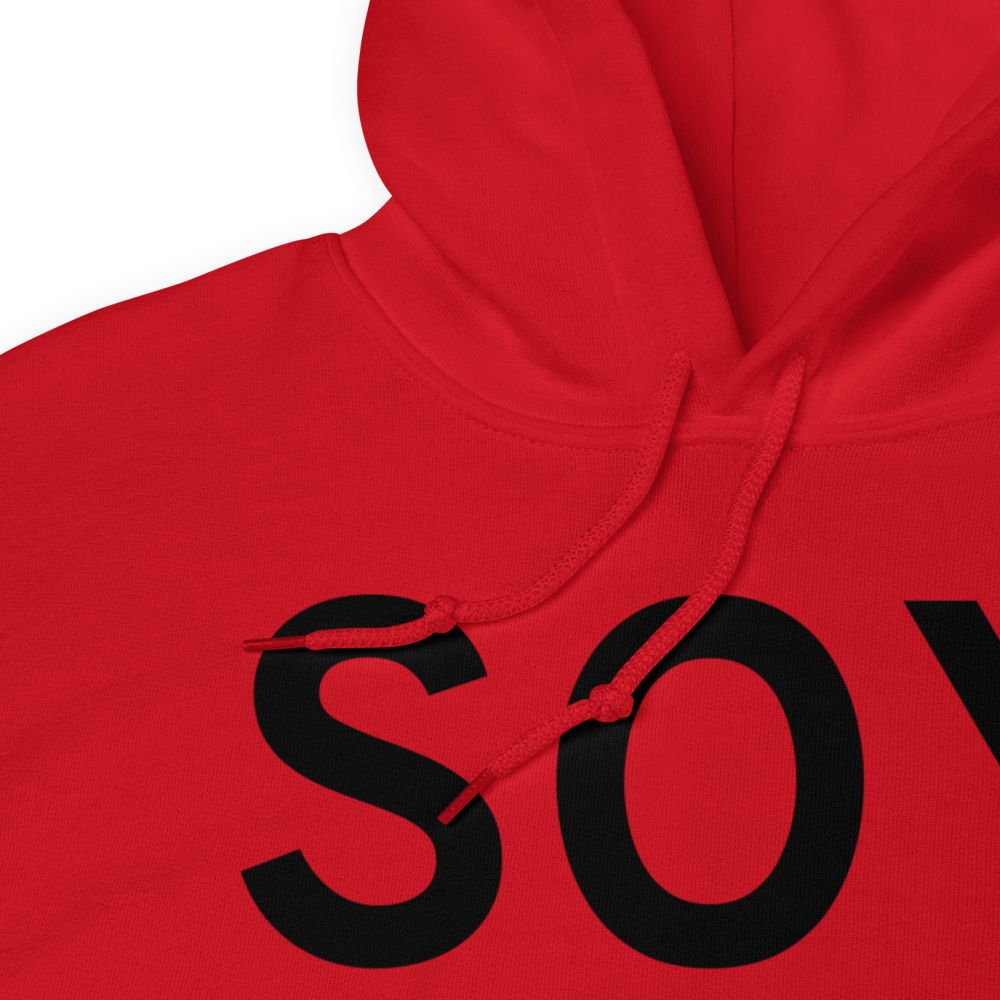 Sioux Center (KSOY) Airport Hoodie Sweatshirt 