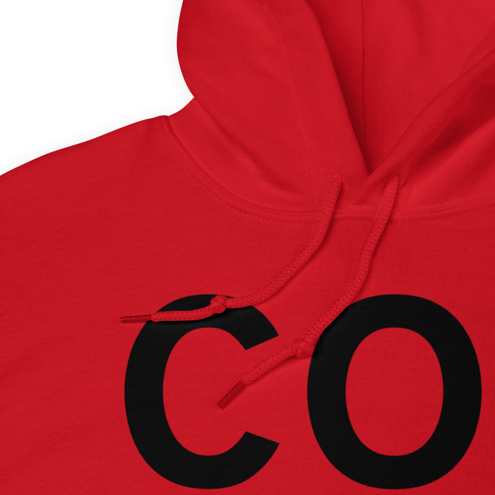 Ordway (US-0623) Airport Hoodie Sweatshirt 