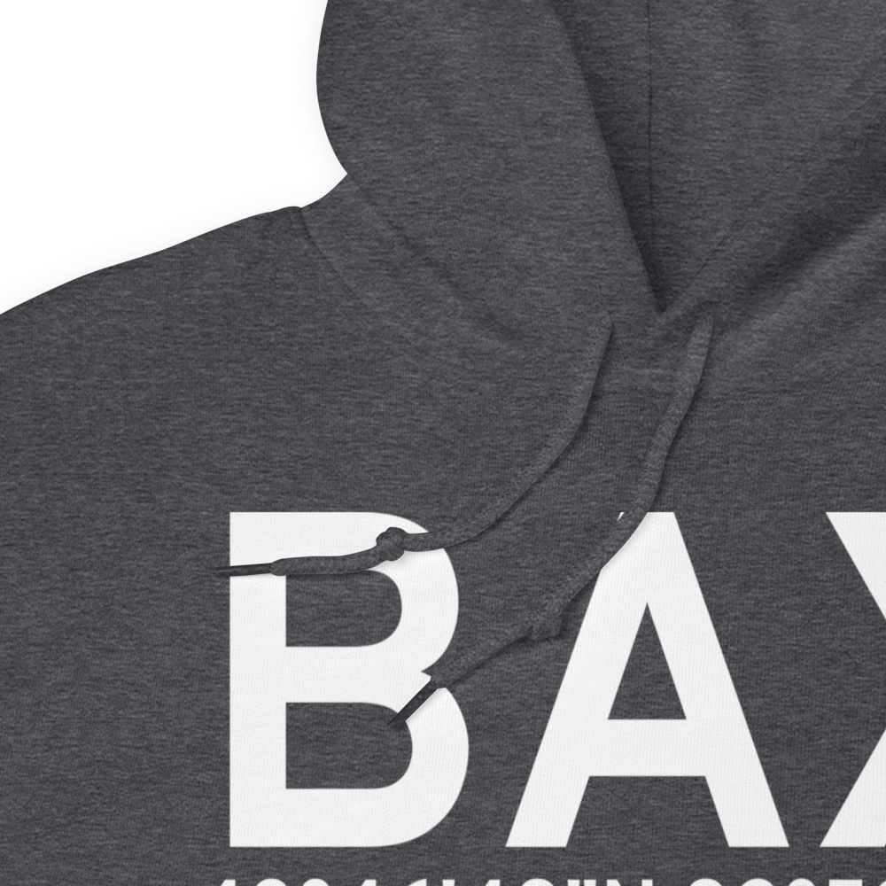 Bad Axe (KBAX) Airport Hoodie Sweatshirt 