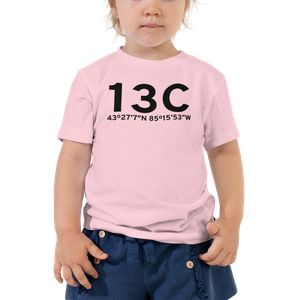 Lakeview (K13C) Airport Toddler T-Shirt