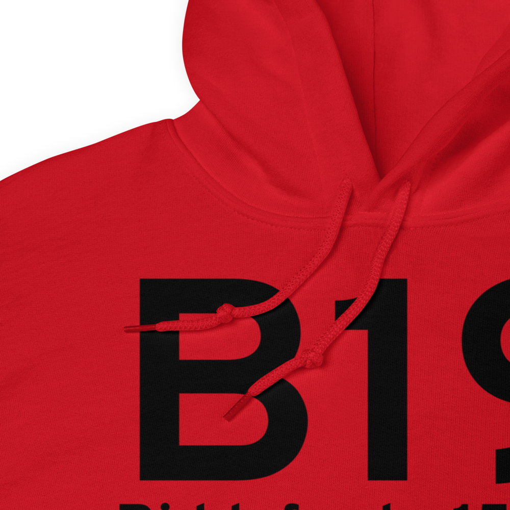 Biddeford (KB19) Airport Hoodie Sweatshirt 