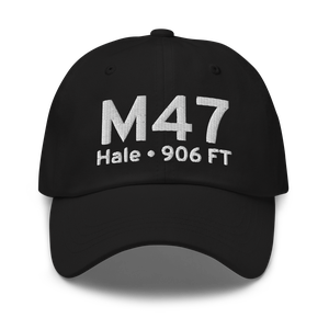 Hale (US-0332) Airport Hat