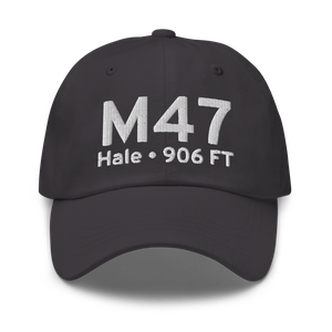 Hale (US-0332) Airport Hat