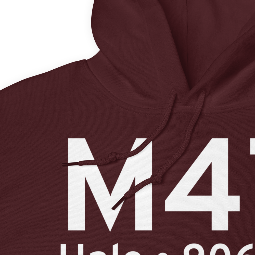 Hale (US-0332) Airport Hoodie Sweatshirt 