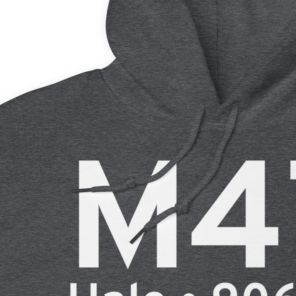 Hale (US-0332) Airport Hoodie Sweatshirt 