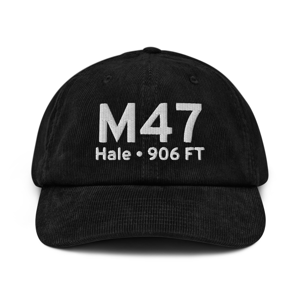 Hale (US-0332) Airport Hat 