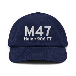 Hale (US-0332) Airport Hat