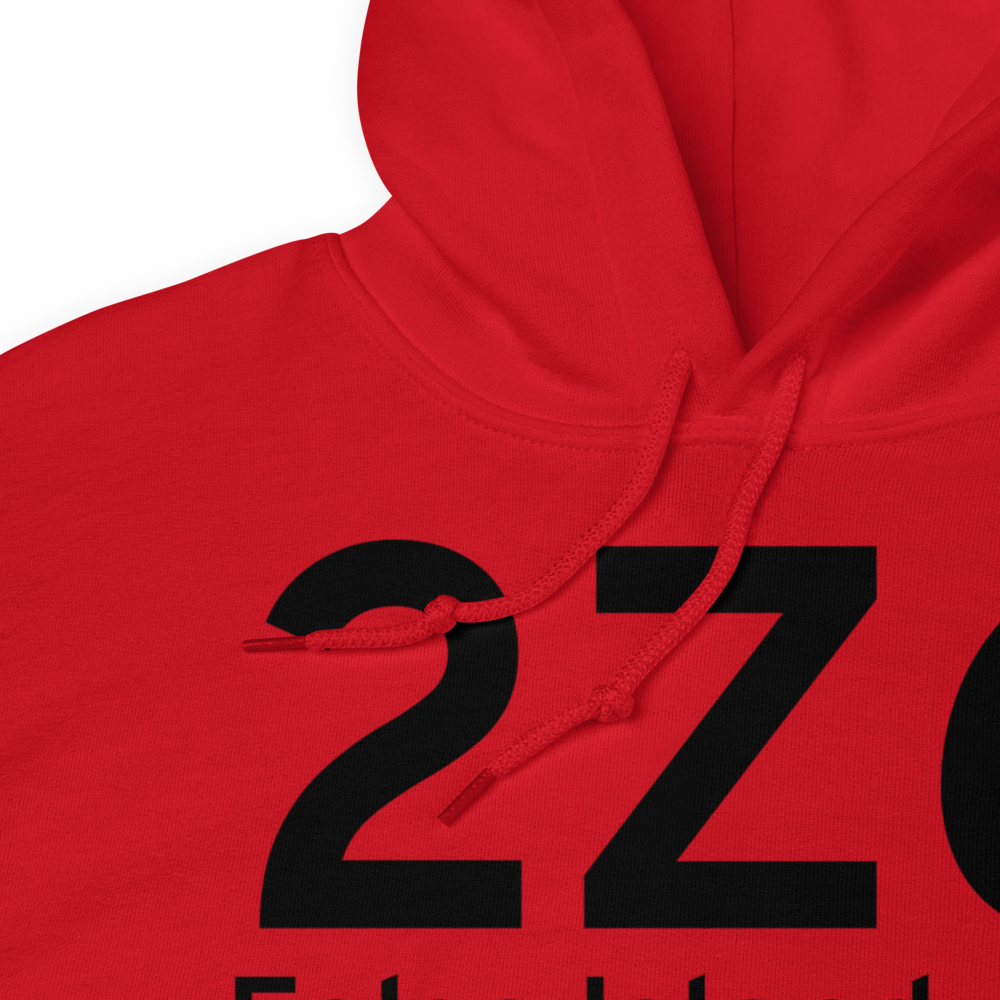 False Island (2Z6) Airport Hoodie Sweatshirt 