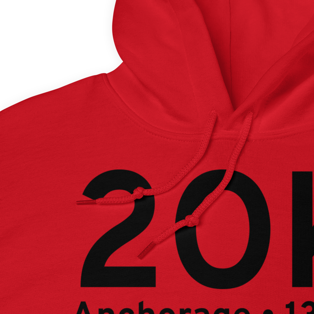 Anchorage (2OK) Airport Hoodie Sweatshirt 