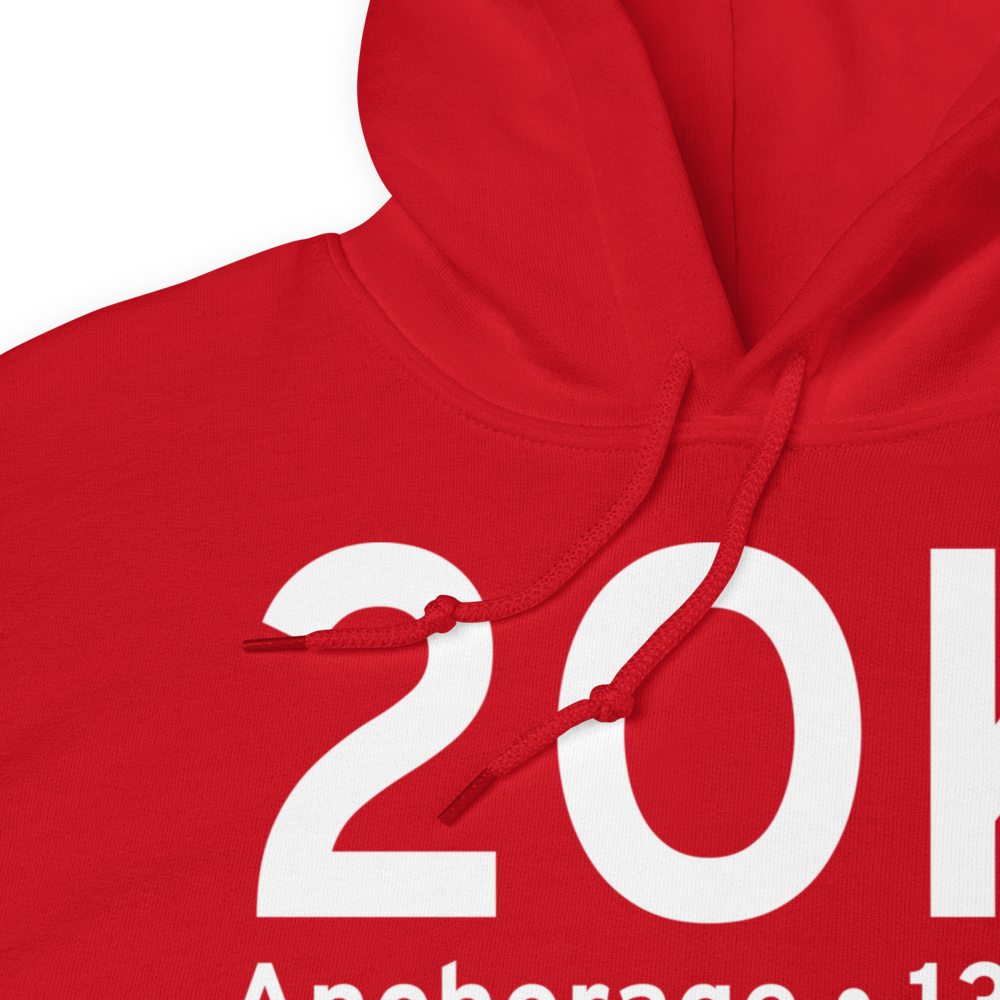 Anchorage (2OK) Airport Hoodie Sweatshirt 